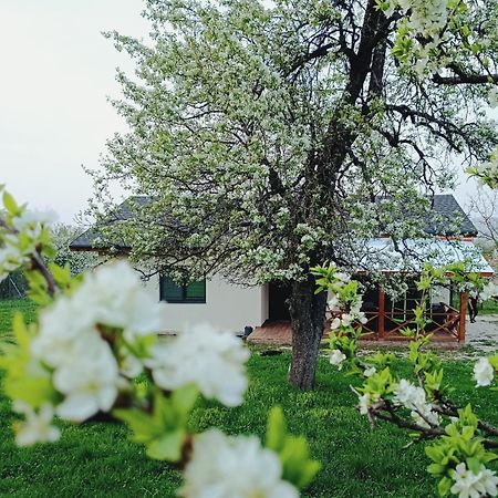 Къща За Гости Софаш Stoevtsi Exterior foto